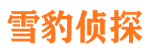 洪江市婚外情调查